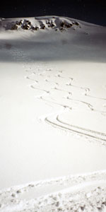 Ski Tracks